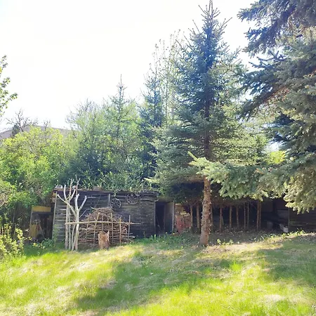 Haus 
