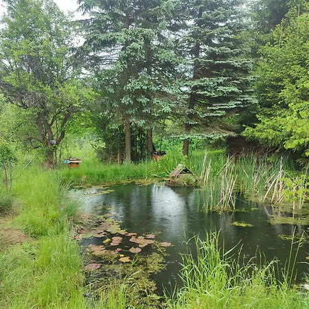 Апартаменты Haus 