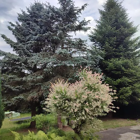 Апартаменты Haus 